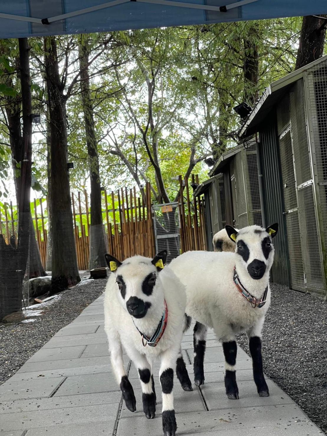 River Forest Leisure Farm Dongshan  Exterior foto